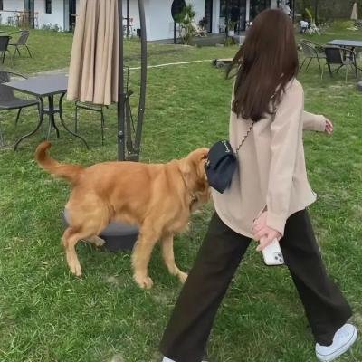 行尸之惧第三季